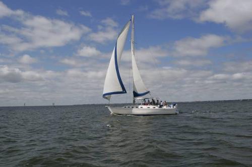 Sail Boat / Yacht / Cruising Boats Listing: 1989 morgan c c sloop